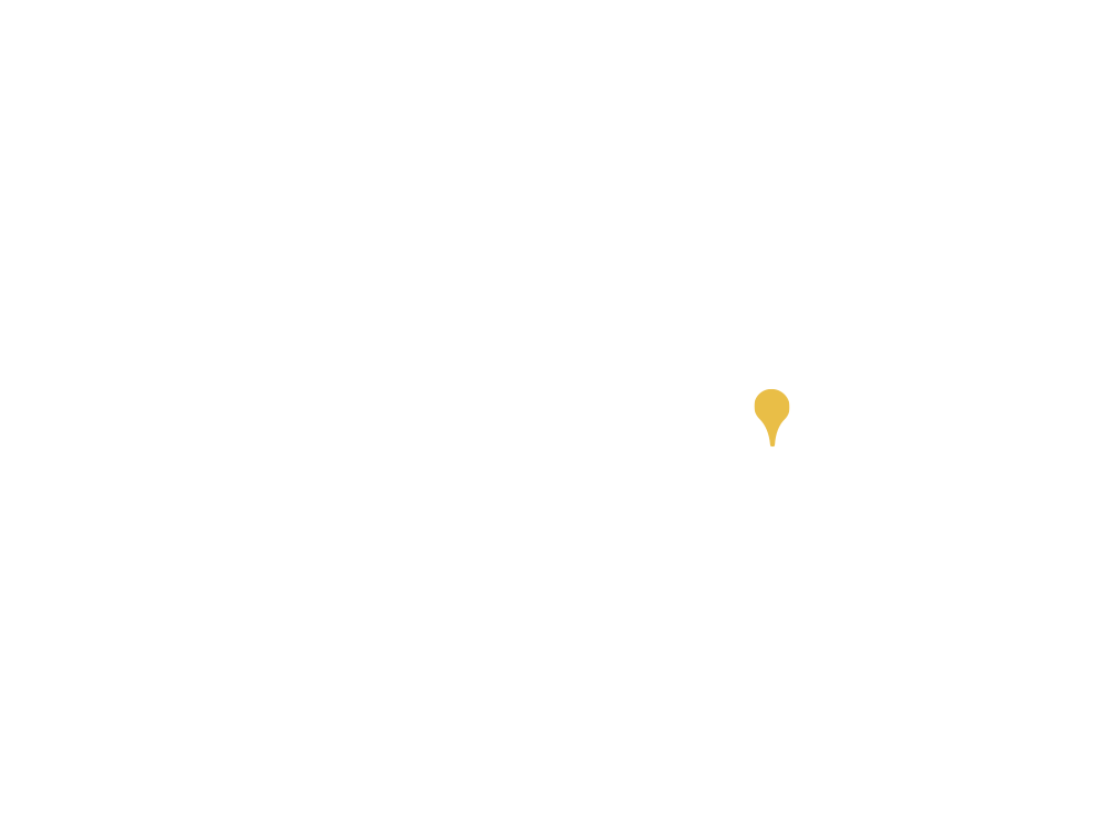 consulenza vitivinicola professionale