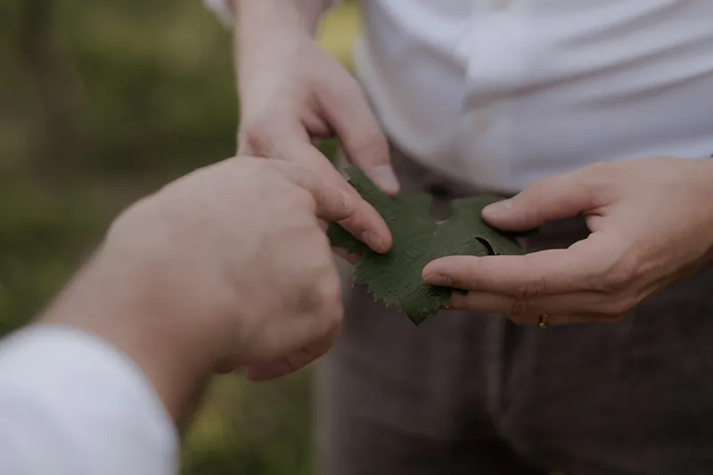 Consulenza agronomica